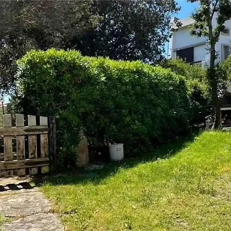 Appartement In 53826 *